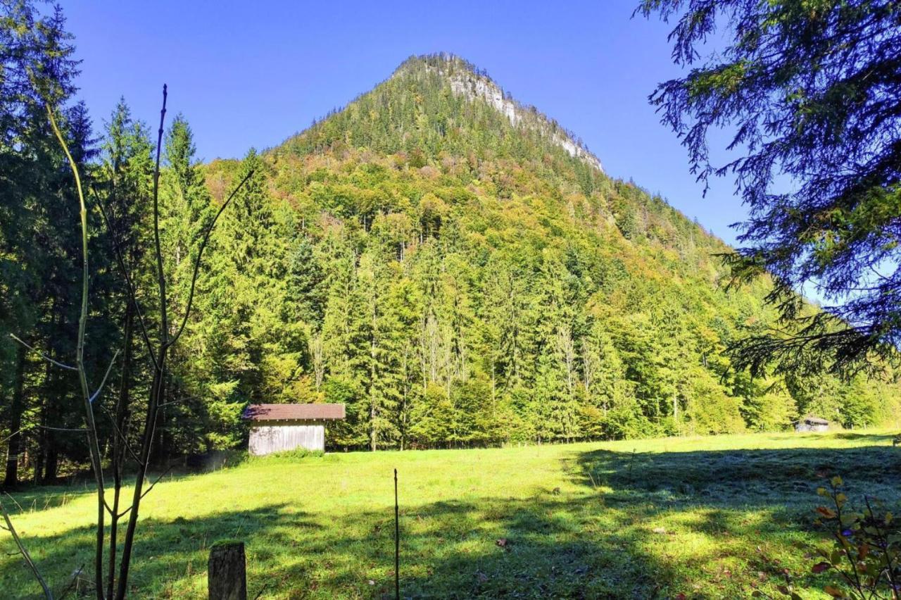 Bergchalet Falkenstein, อินเซลล์ ภายนอก รูปภาพ